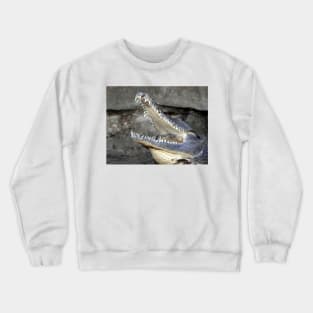 Freshwater Crocodile Crewneck Sweatshirt